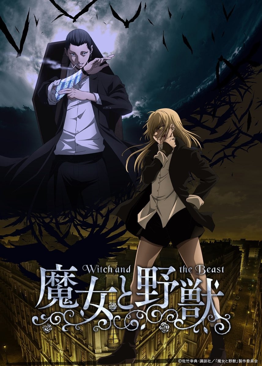 魔女与野兽 封面
