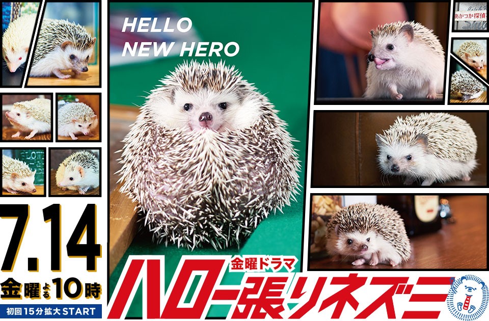 侦探物语 封面