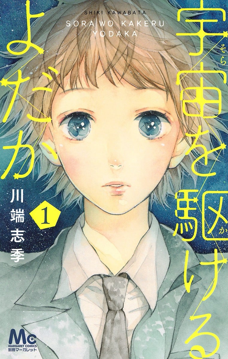翱翔于天际的夜鹰 封面