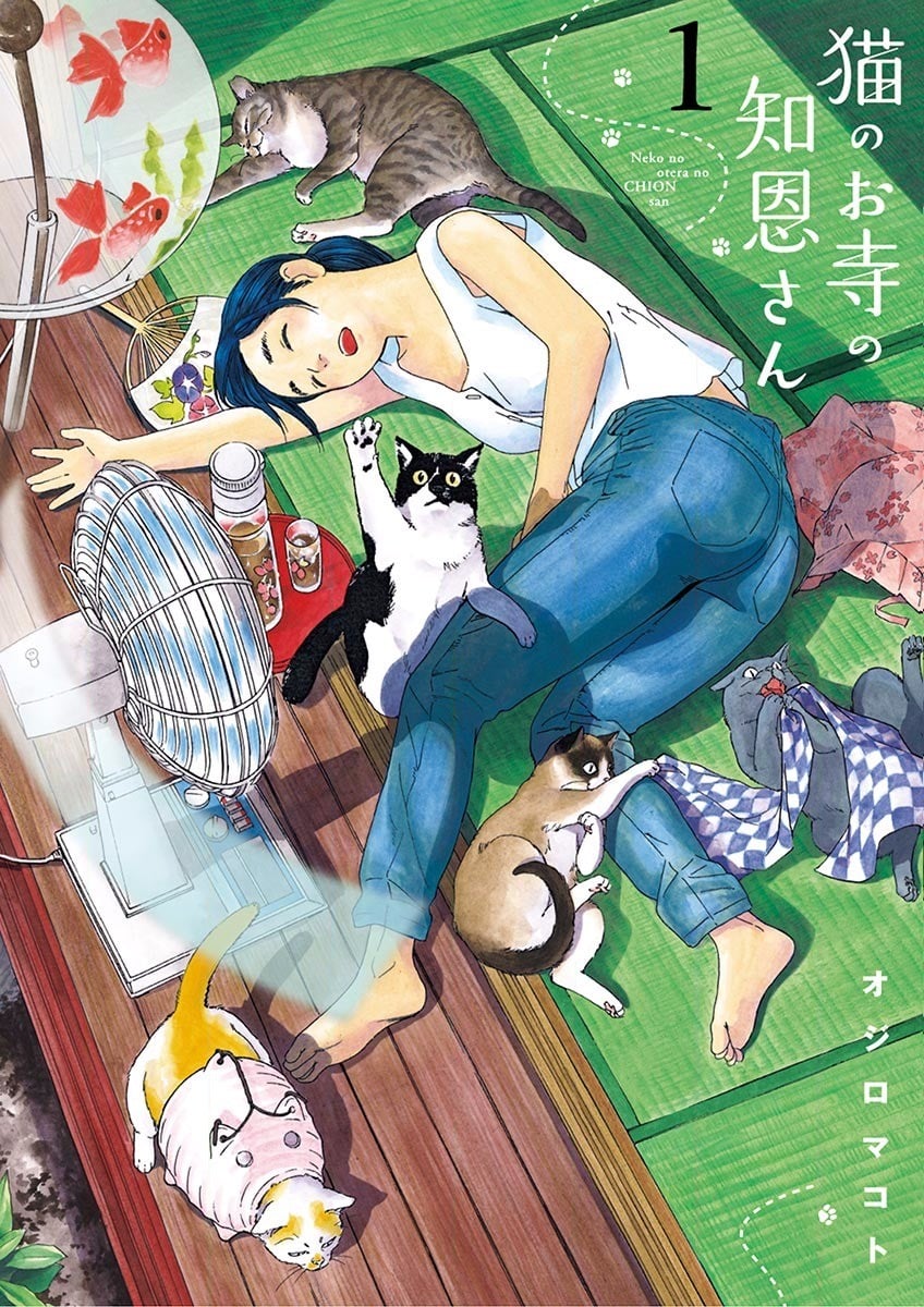 猫之寺的知恩姐 封面