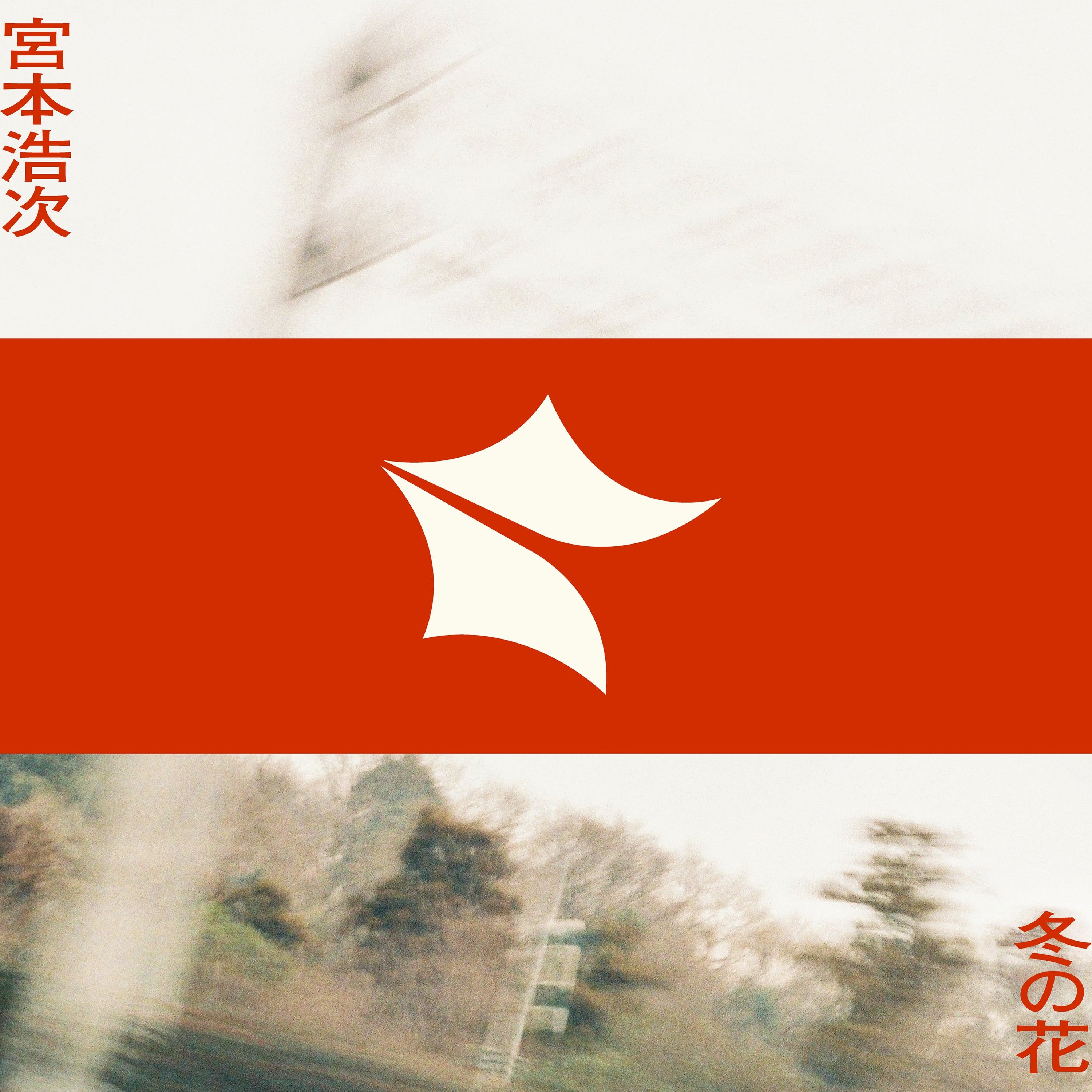 冬之花 封面