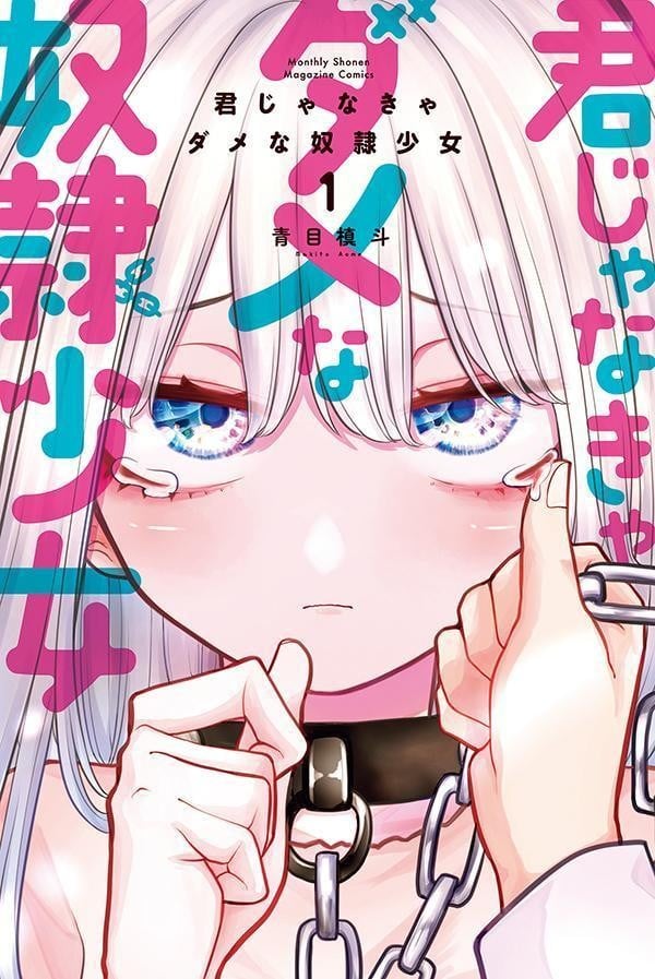 只属于你的奴隶少女 封面