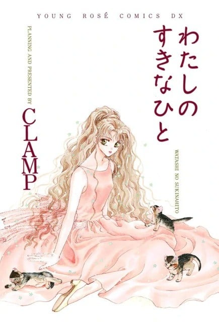 少女情怀总是诗 封面