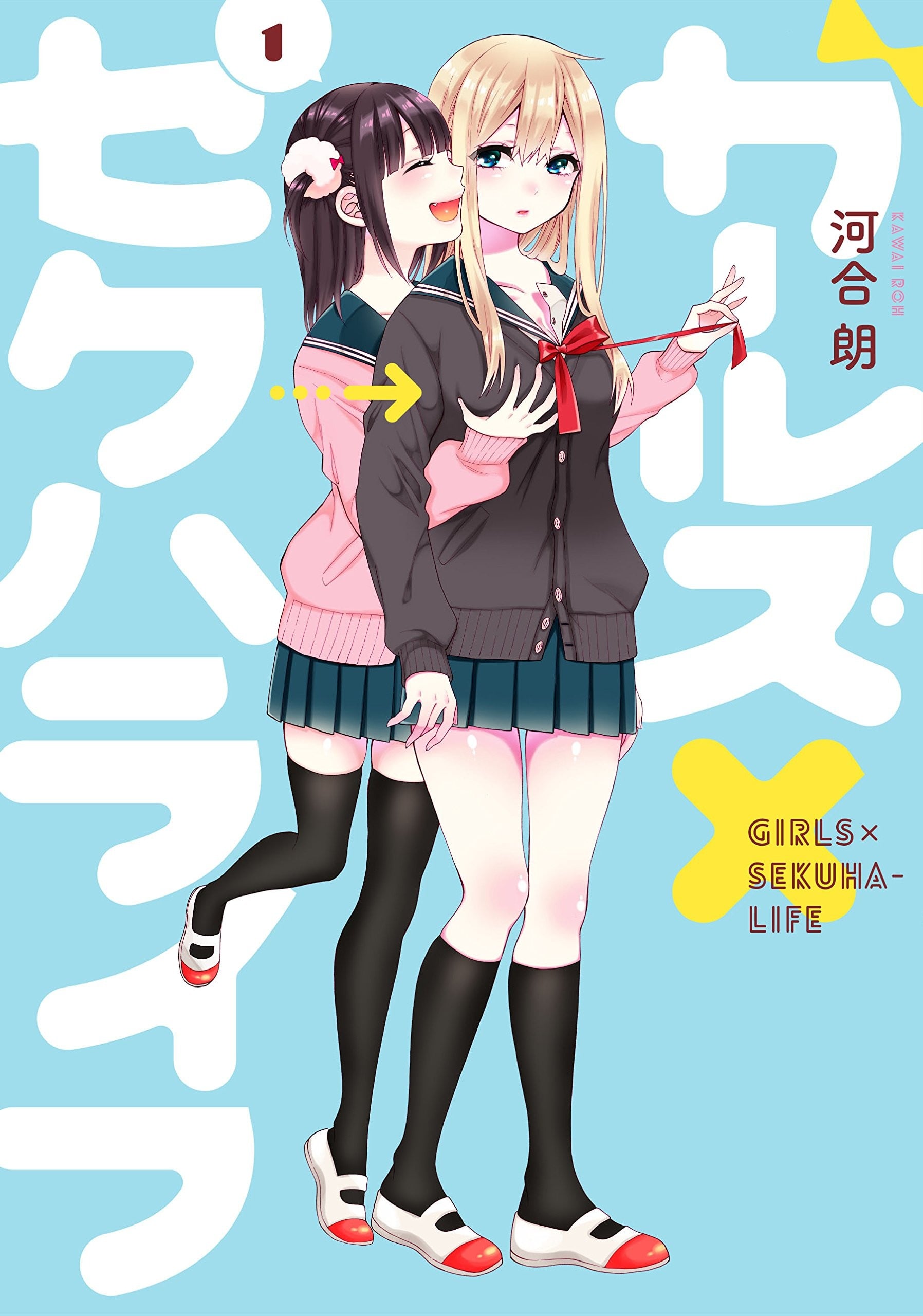 少女×性骚生活 封面