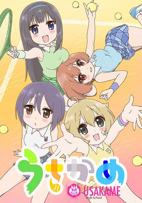 兔龟 封面