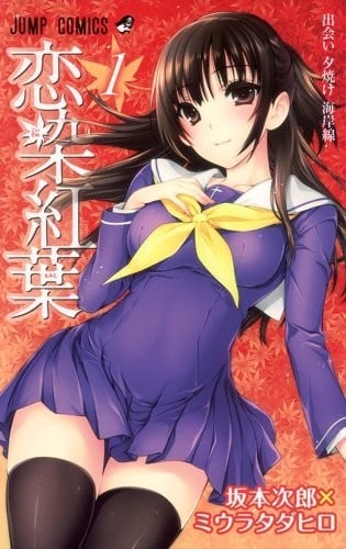 恋染红叶 封面