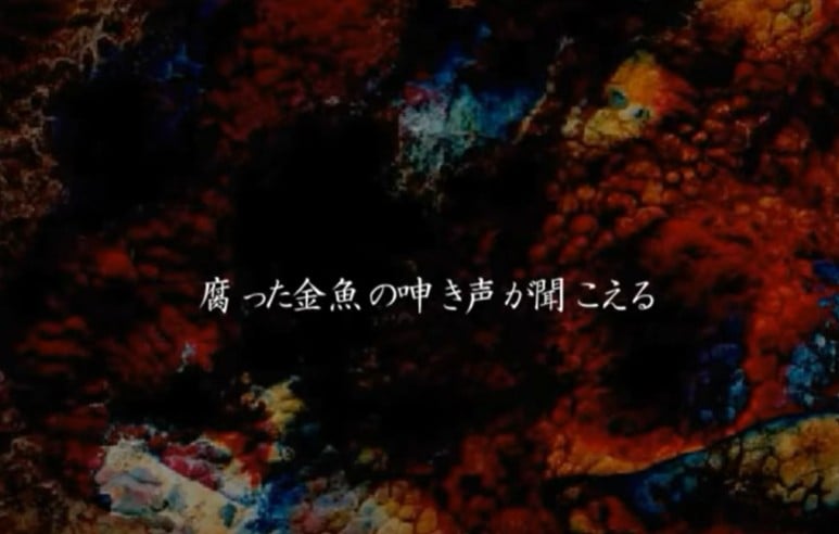 听到腐烂金鱼的呻吟声 封面