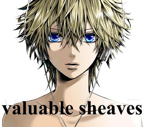 valuable sheaves 封面
