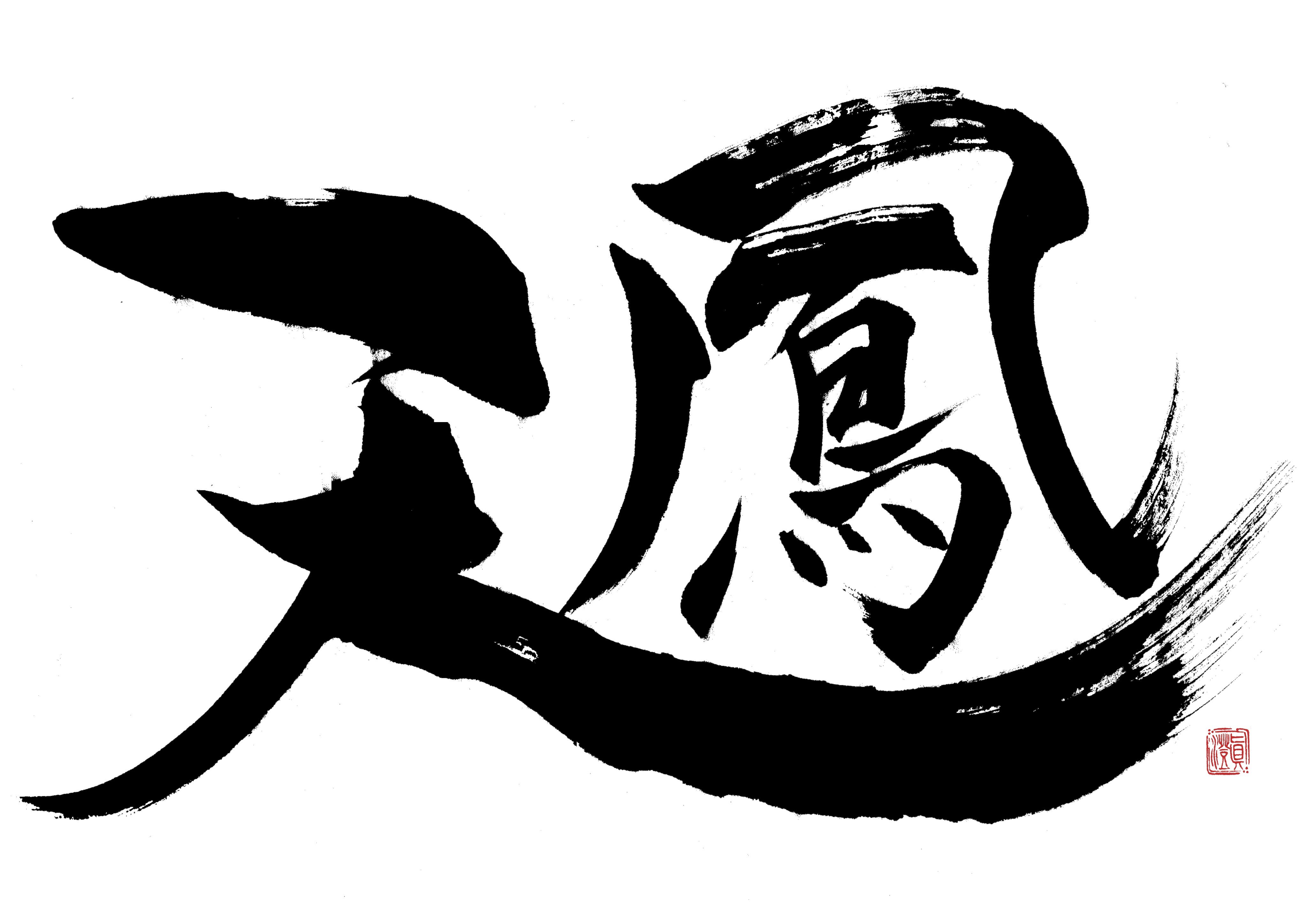 天凤 封面