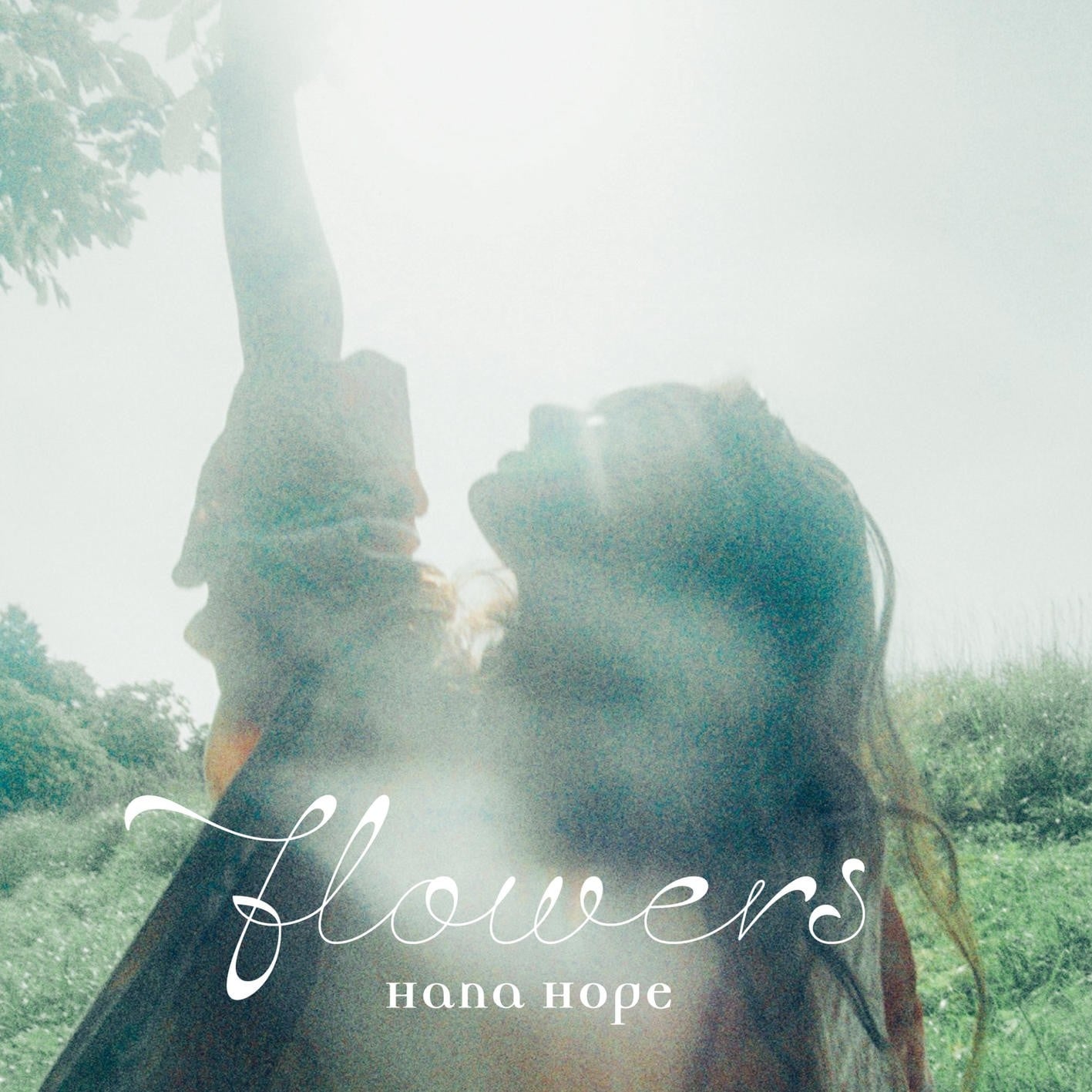 flowers 封面