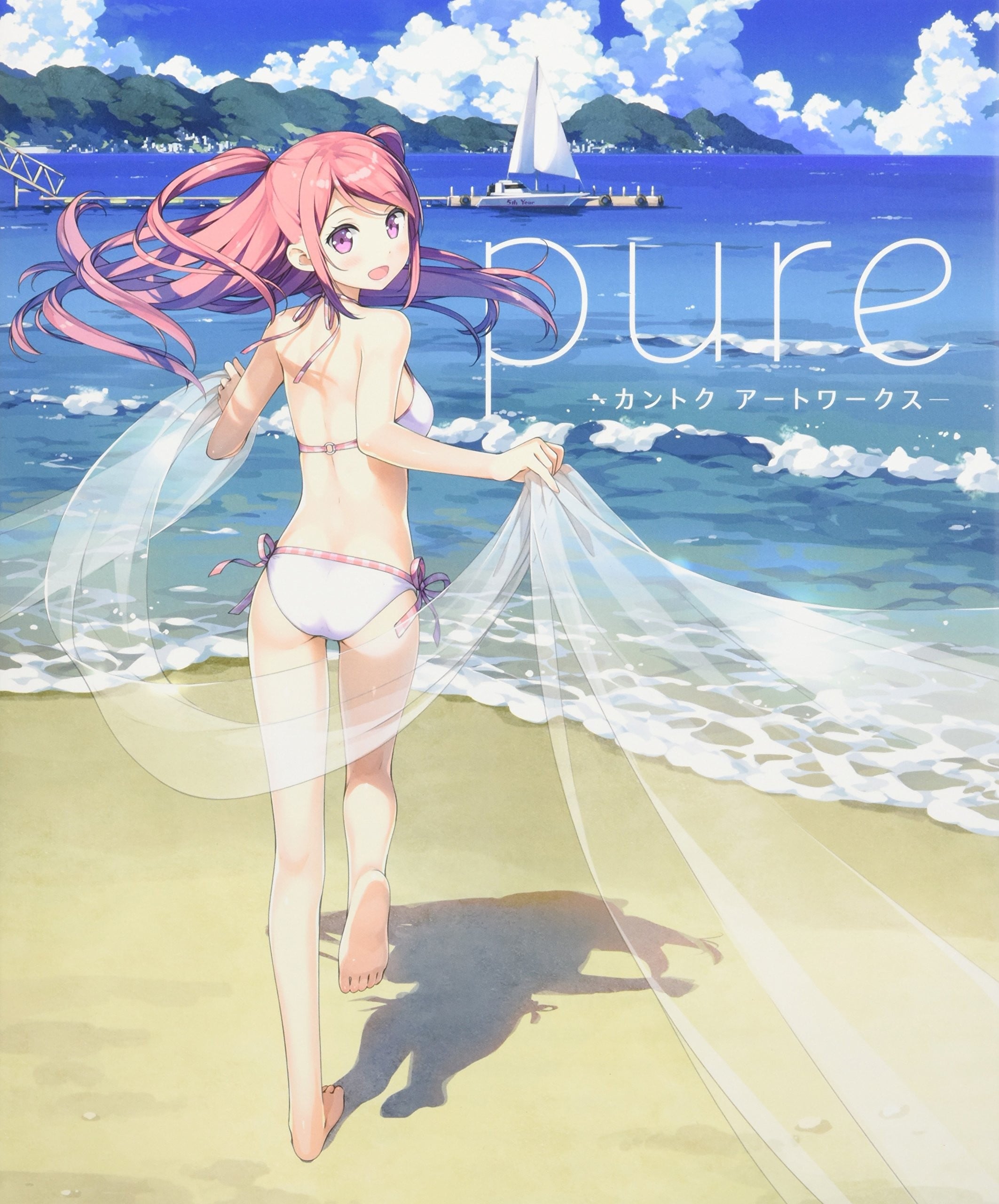 pure カントクアートワークス 封面