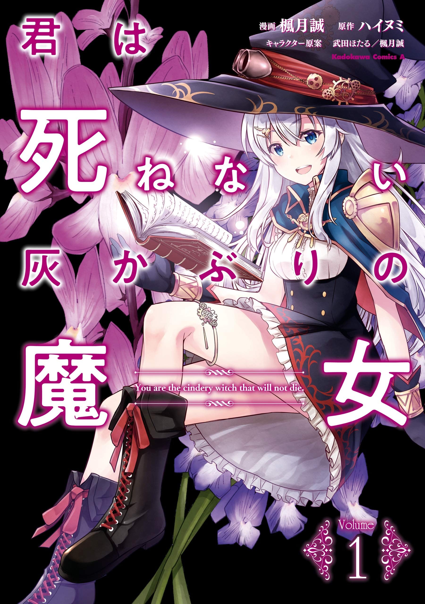 你是不死的染灰魔女 封面