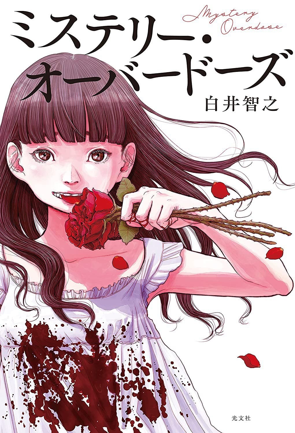 上瘾谜题 封面