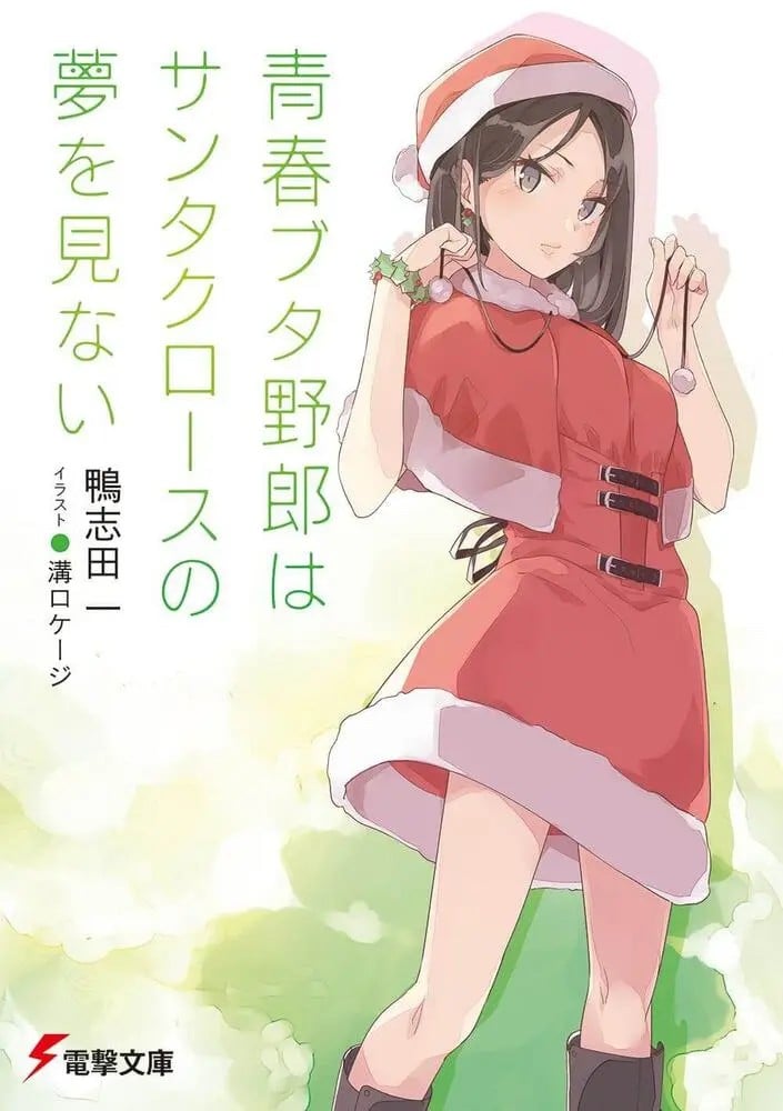 青春笨蛋少年不做圣诞服女郎的梦 封面