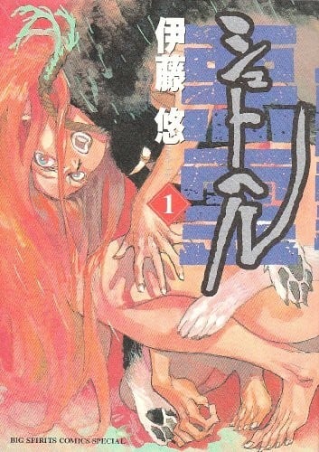 舒特赫尔 西夏恶灵 封面
