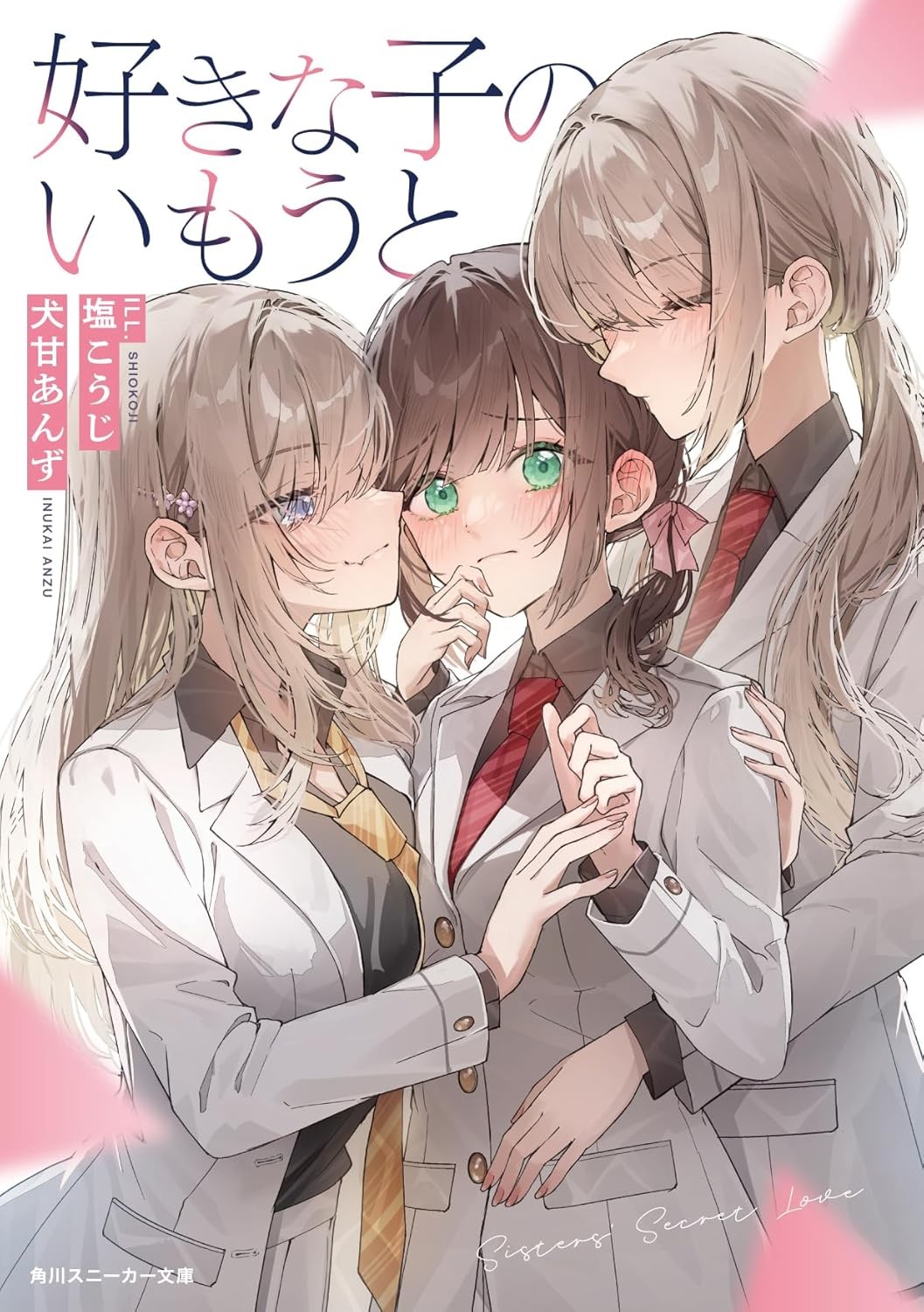 好きな子のいもうと 封面