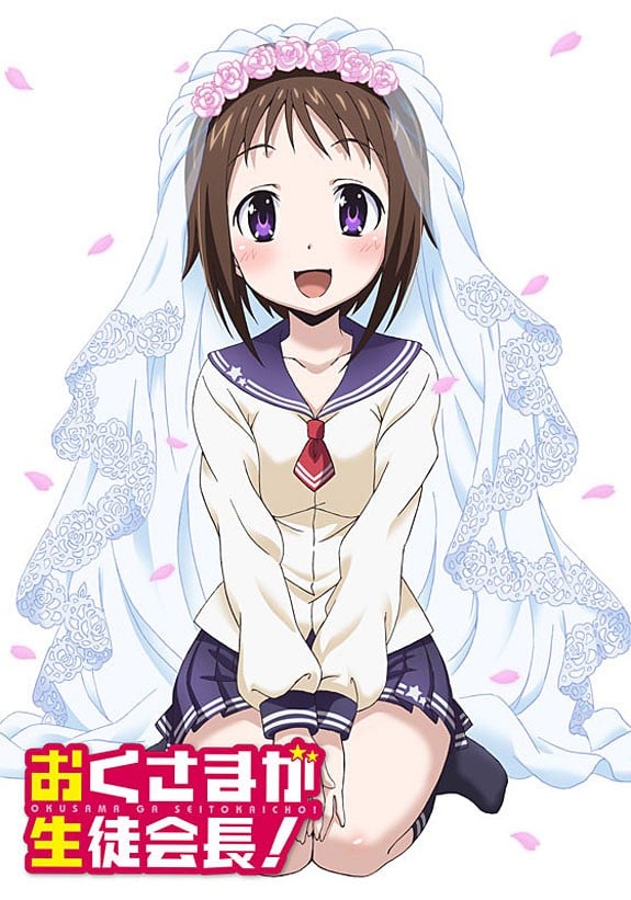 我老婆是学生会长 封面