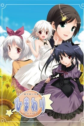 向日葵 封面
