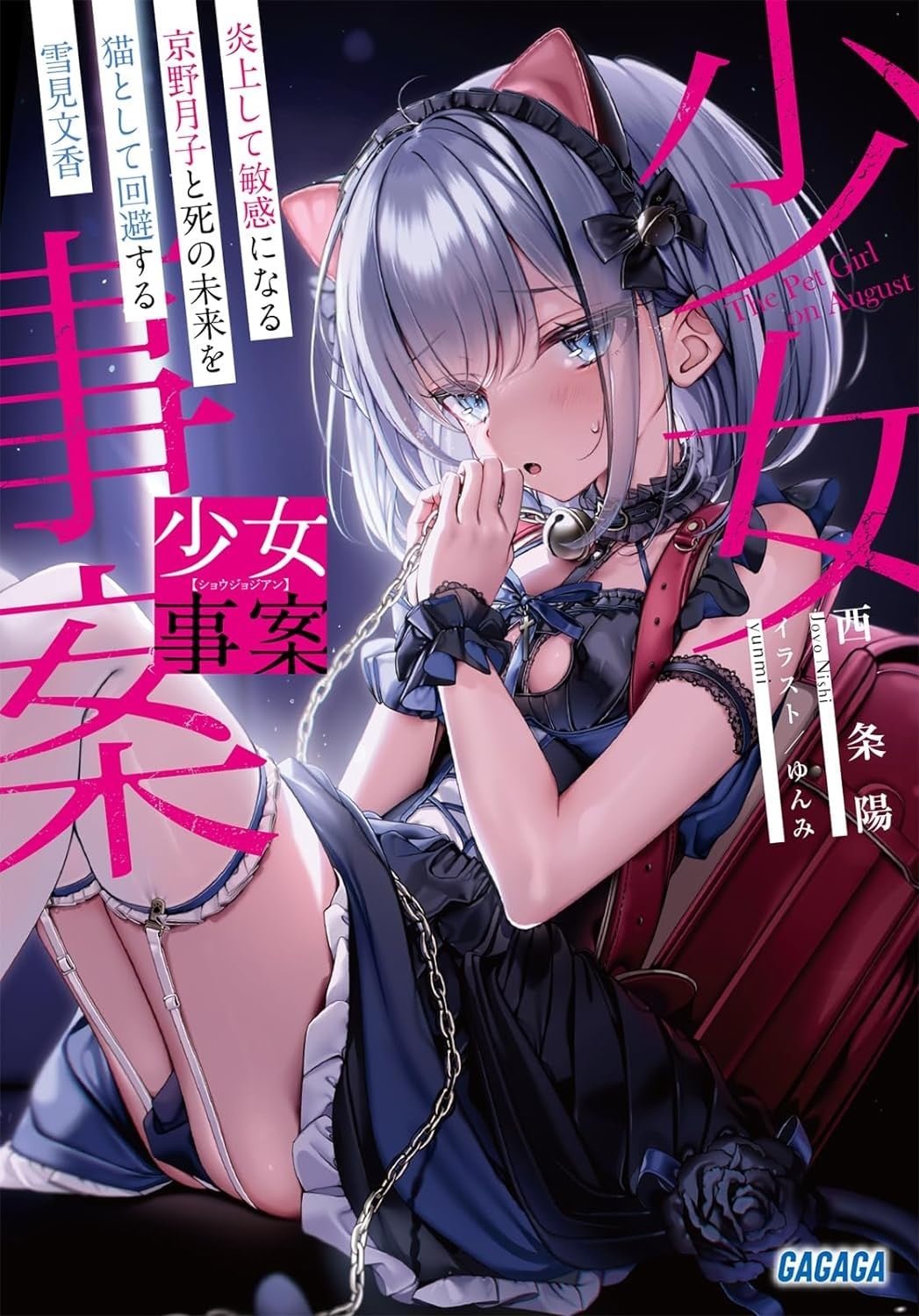 少女奇案 封面