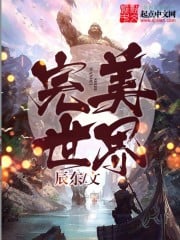 完美世界 封面