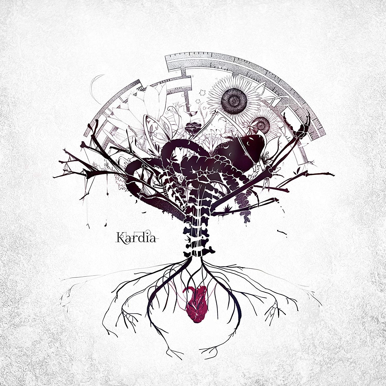 Kardia 封面