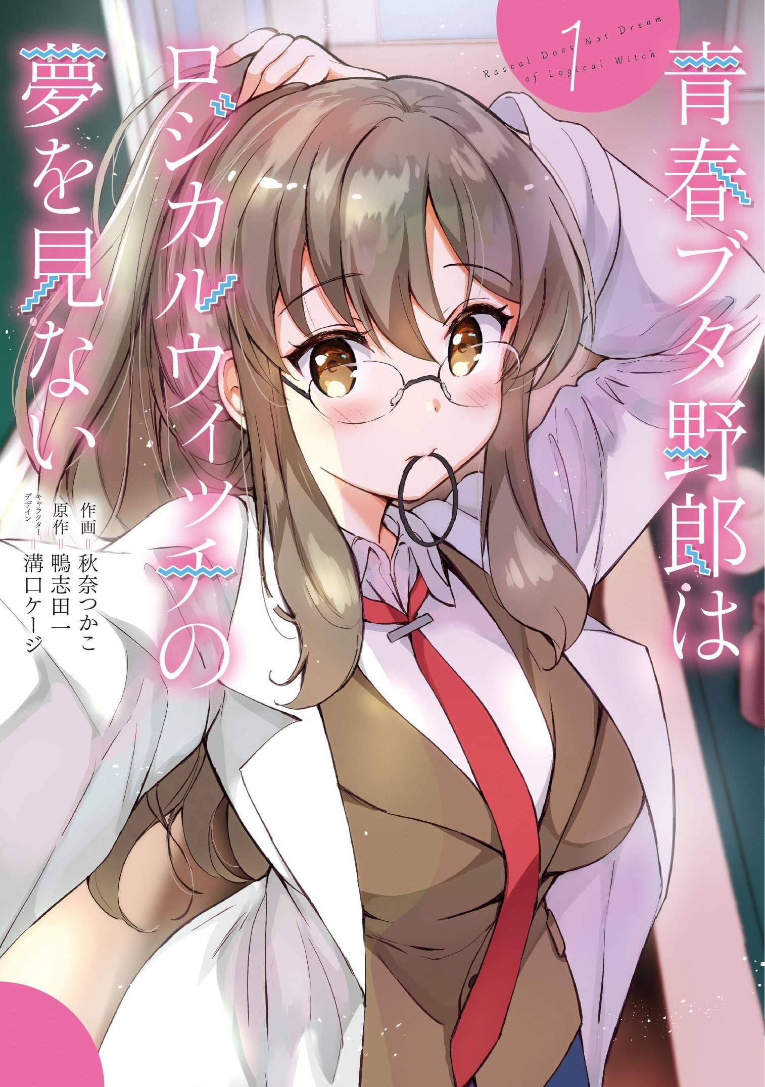 青春笨蛋少年不做理性小魔女的梦 封面