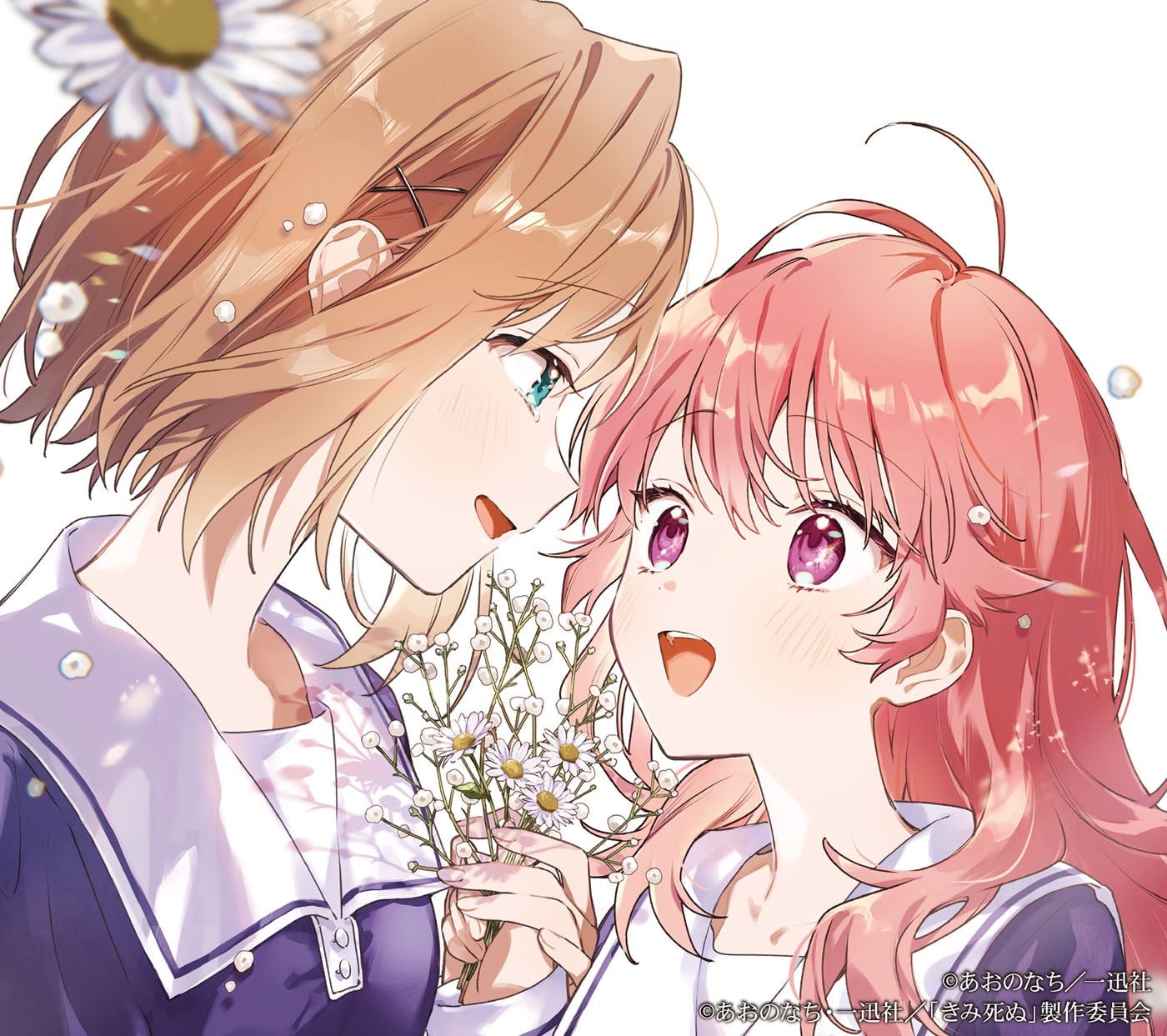 Amore 封面