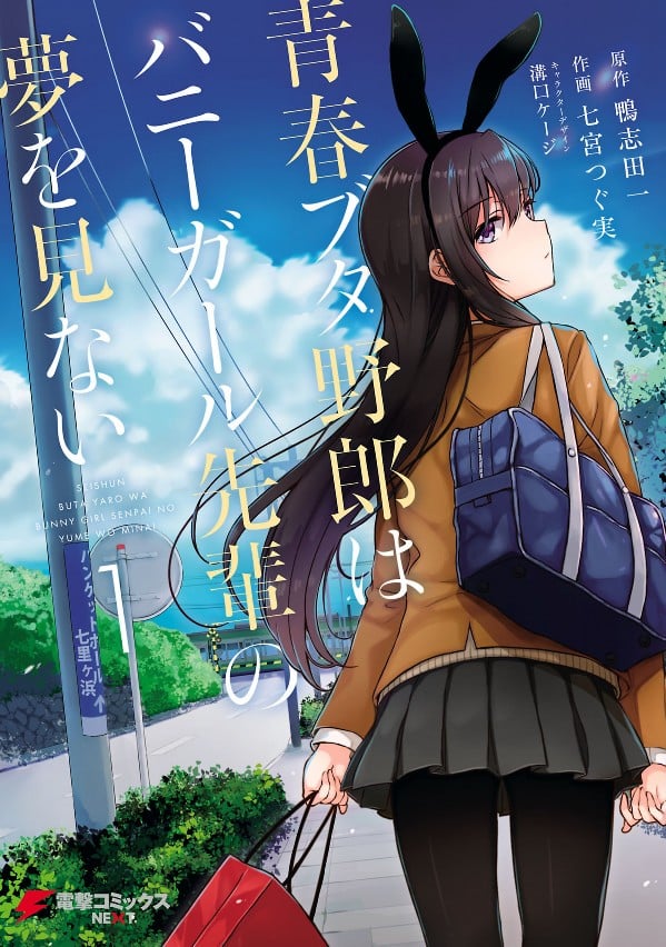 青春笨蛋少年不做兔女郎学姐的梦 封面