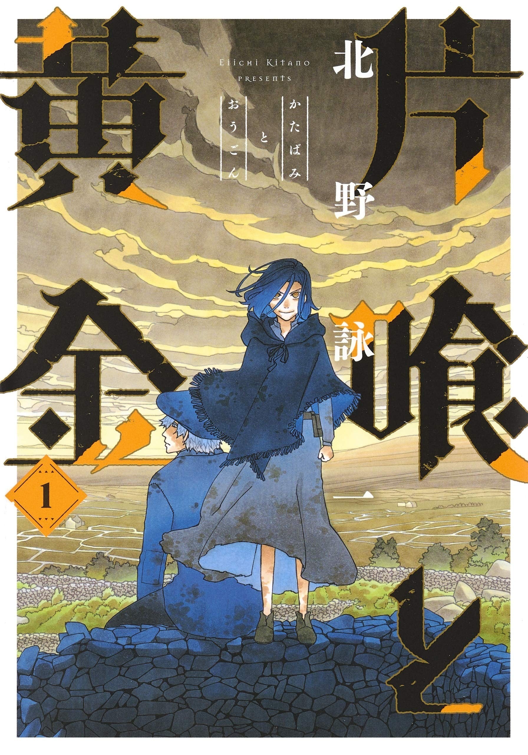 满天星与黄金 封面