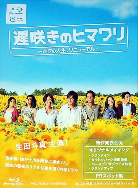 迟开的向日葵~我的人生,重新开始~ 封面