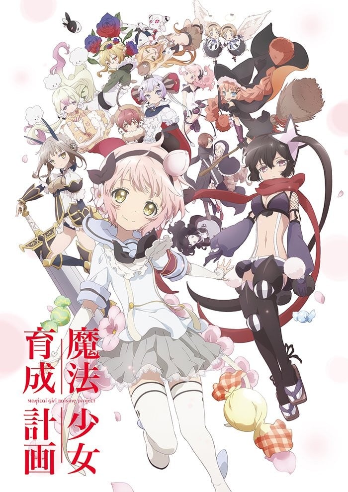 魔法少女育成计划 封面