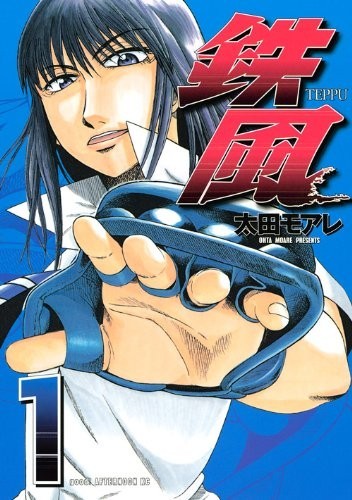 铁风 封面