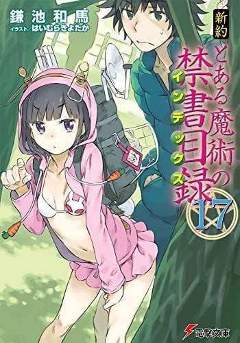 新約 とある魔術の禁書目録(17) 封面