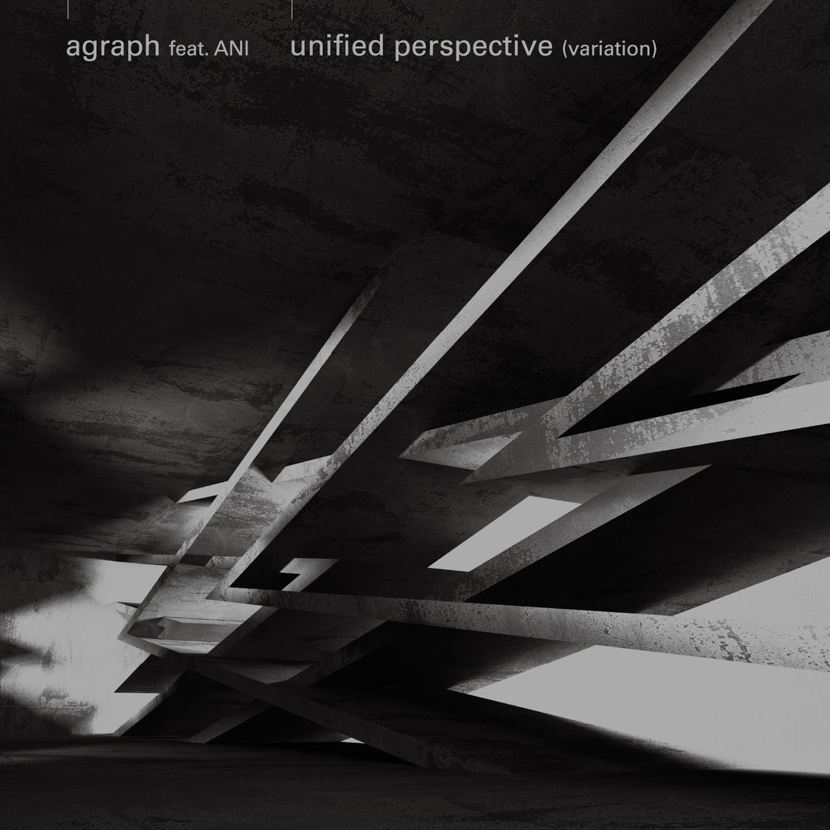 unified perspective 封面