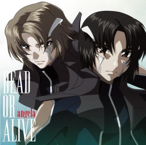 DEAD OR ALIVE 封面