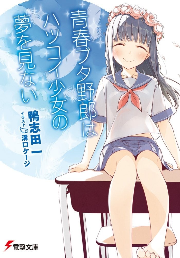 青春笨蛋少年不做初恋美少女的梦 封面