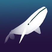 深海水族馆 封面