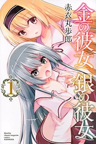 金银彼女 封面