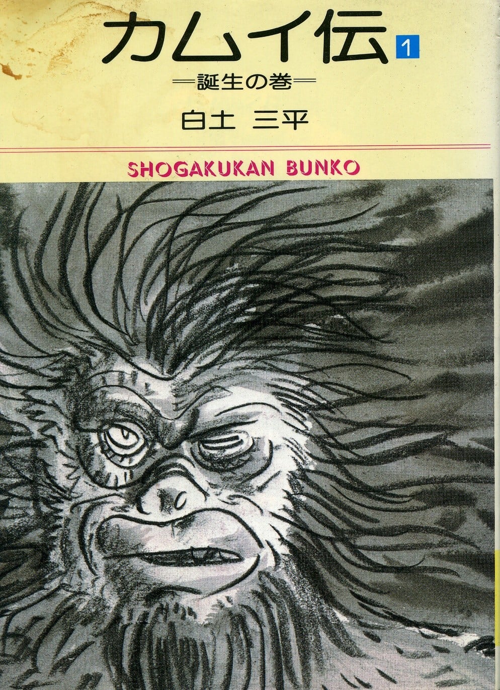 卡姆依传 封面