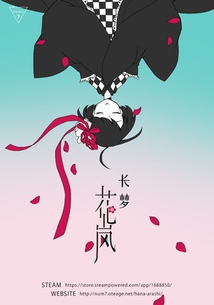 长梦花岚 封面