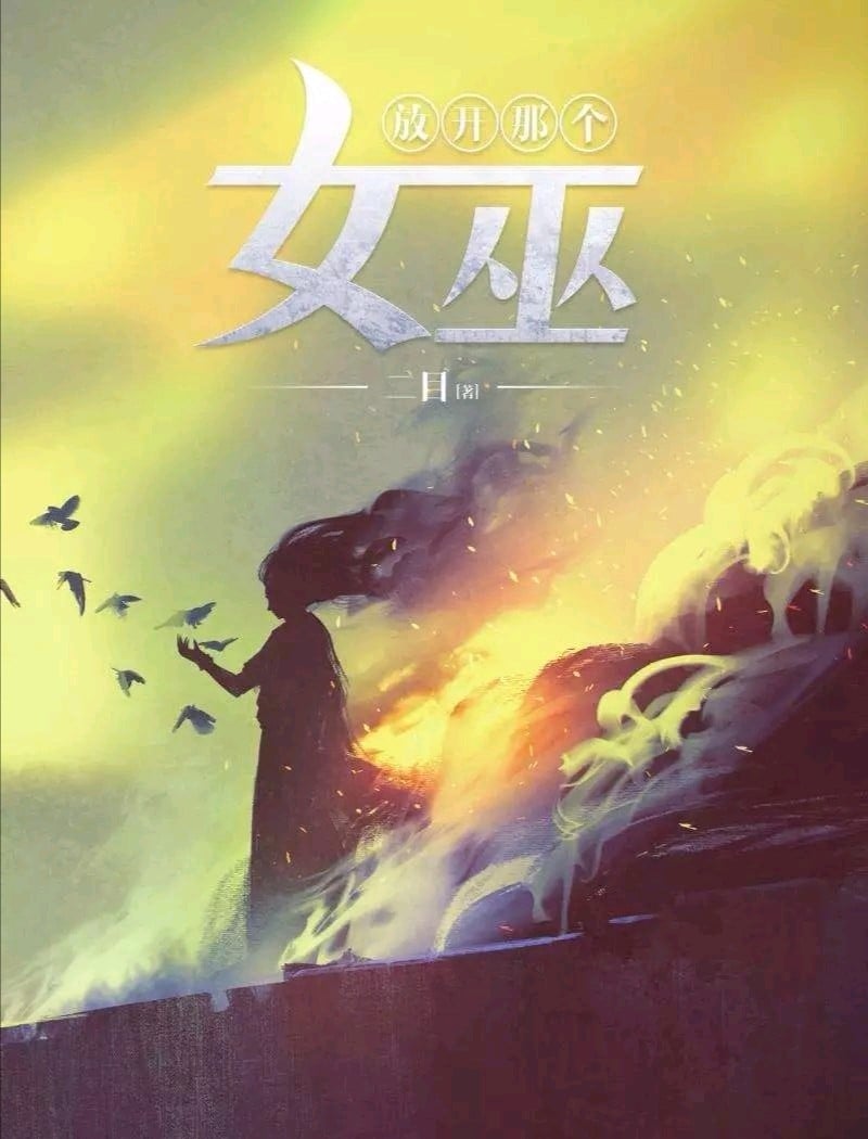 放开那个女巫 封面