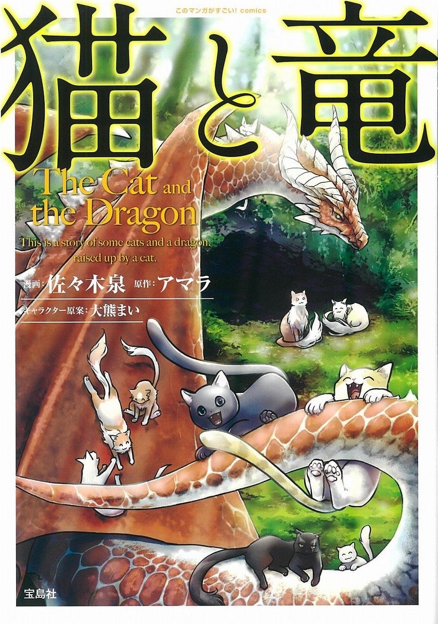 猫与龙 封面