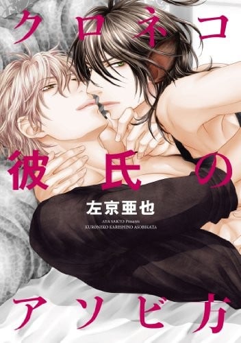 黑猫男友的逗弄方法 封面