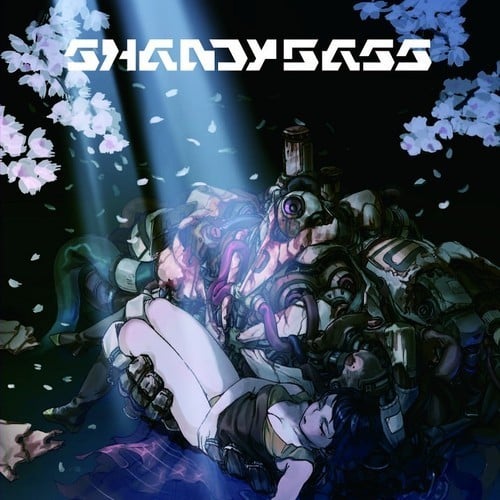 ShandyBass 封面
