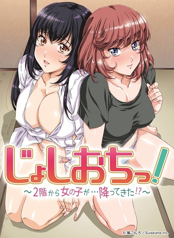 天降少女!~从2层落下了少女!?~ 封面