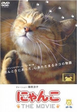 猫咪物语 封面