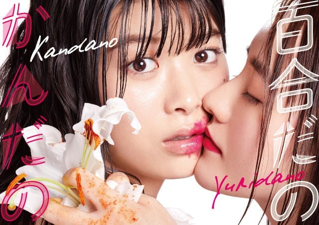 百合与直觉 封面