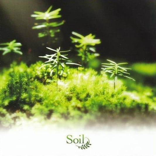 Rewrite Arrange Album 'Soil' 封面