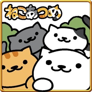 猫咪后院 封面