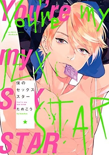 僕のセックススター 封面